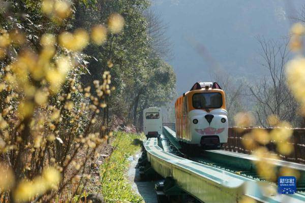 湖南张家界：节后旅游热度不减