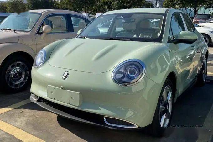 长城新"甲壳虫"曝光!2季度上市,配置足,比亚迪海豚不香了?