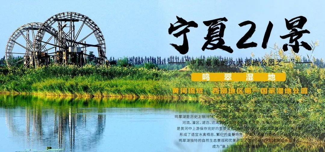 宁夏二十一景 | 鸣翠湿地——游鸣翠湿地 赏"江南"秀色_鸣翠湖_旅游