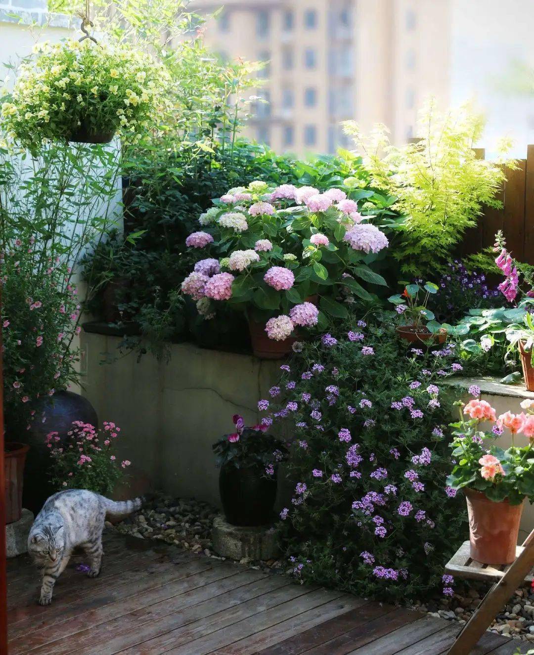 十年用心打造80平露台花园,来自湖南岳阳的完美两人世界.