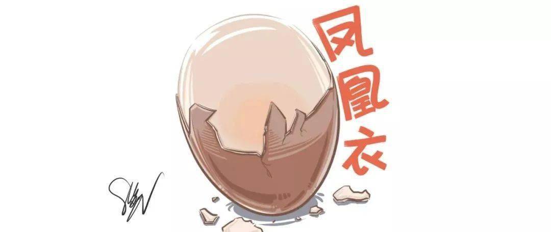 所谓凤凰衣,就是鸡蛋壳里面,那层白色的膜,具有养阴清肺之效,可以治疗