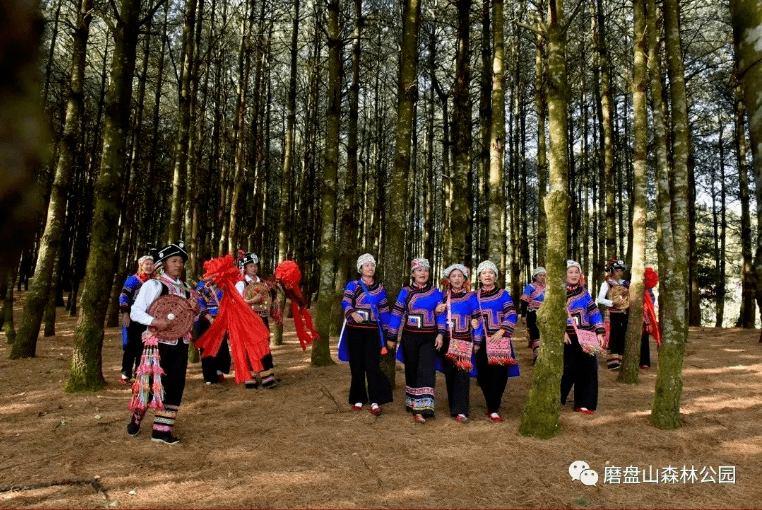 喜乐元宵游玉溪丨快来！正月十六，磨盘山美食集市上演美食与美景的碰碰！