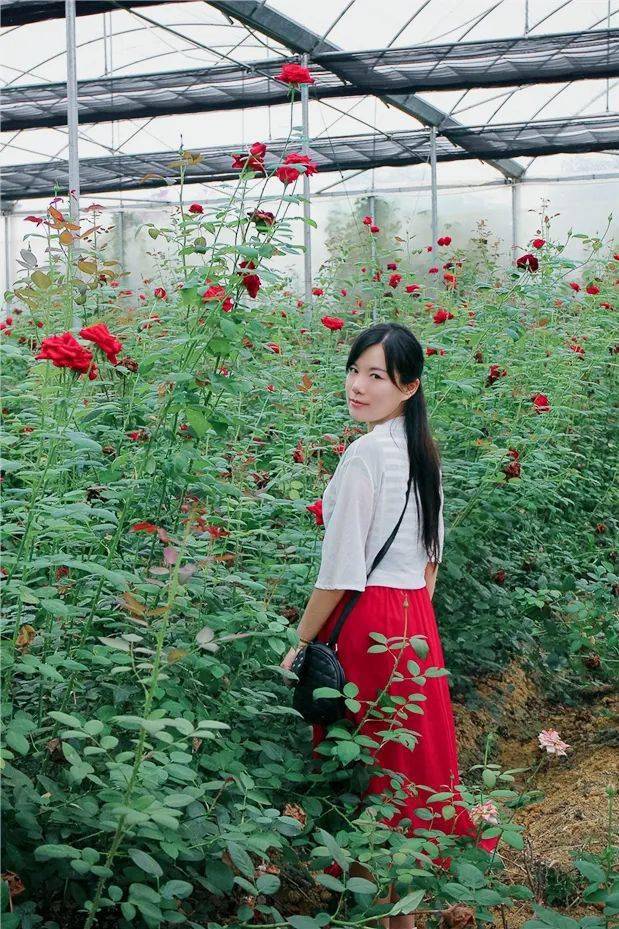 11/12:【主编荐读】卢颖的诗 | 卢颖_石头_岛屿_房间