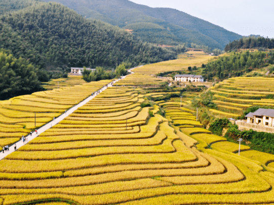 开云体育 Kaiyun.com 官网入口2022年全国休闲农业重点县名单公布我省