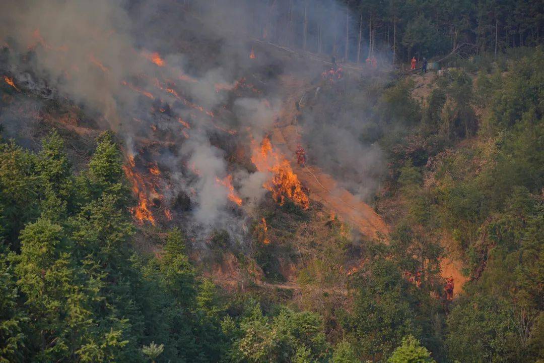 南平市举行2023年森林防灭火应急救援综合演练_队伍_处置_延平区