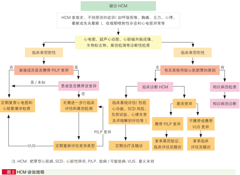 指南丨中国成人肥厚型心肌病诊断与治疗指南2023，十大更新要点一文速览 临床 患者 检查