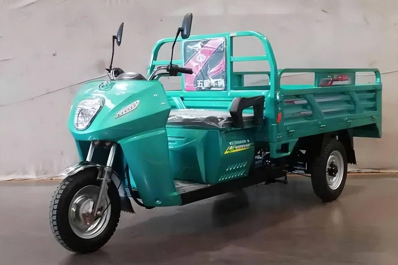 国产电动三轮车谁称王?步步先第9,雅迪第7,行业冠军稳坐14年_搜狐汽车