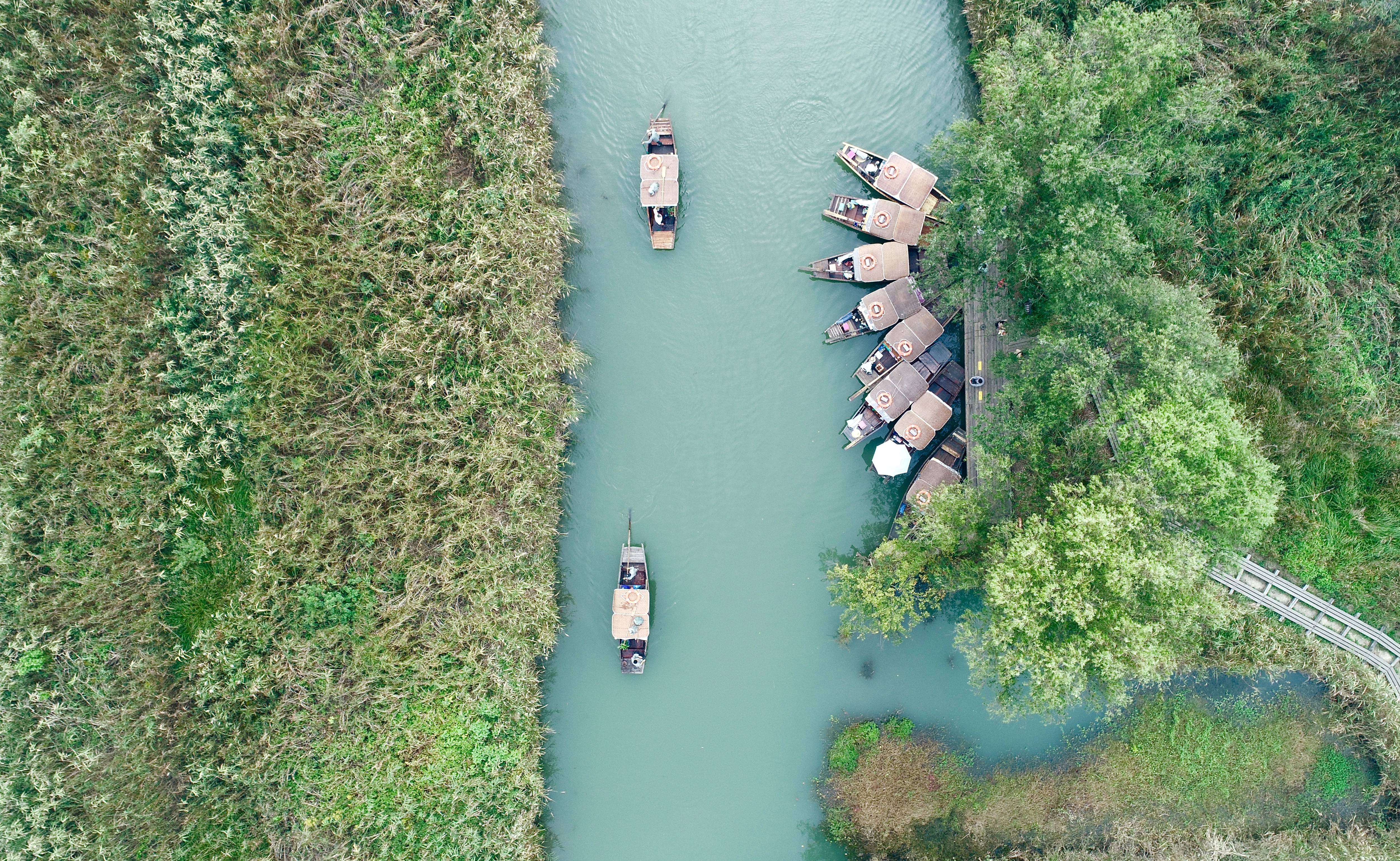 本年世界湿地日中国主会场为何选择西溪湿地？