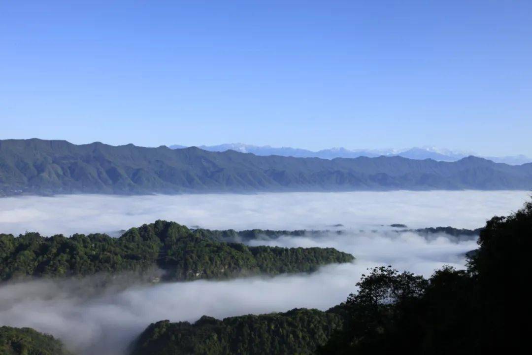 蒙頂山_雲海_夾金山