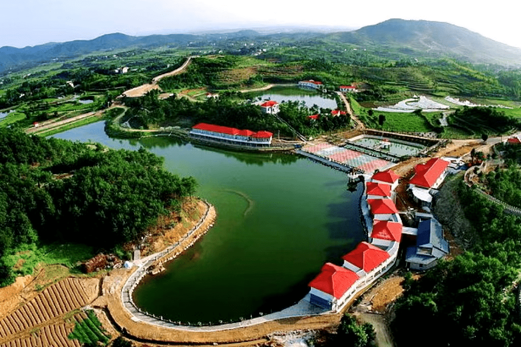 预告| 《飞越城市》循着电波,湖北蕲春遇见最美的开封_旅游_景区_文化