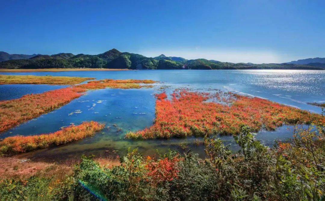 天津新增两个国家级湿地公园!_河流_自然保护区_总面积