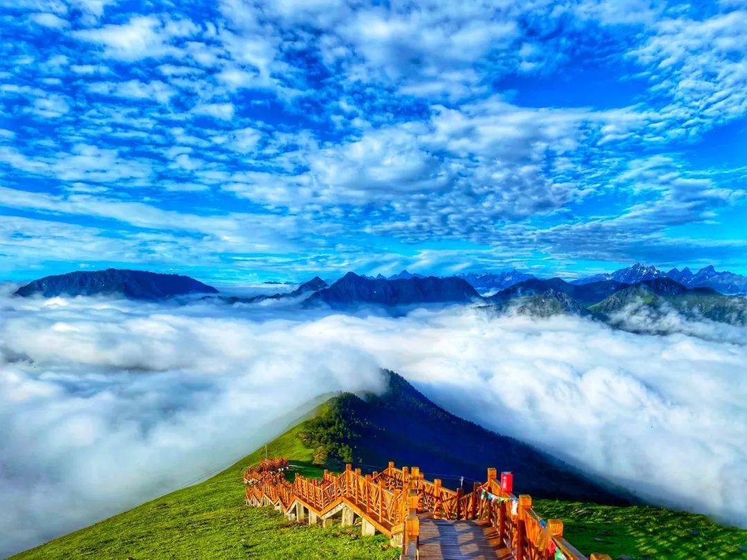 观名山,游大川,首选雅安!_蒙顶山_云海_夹金山