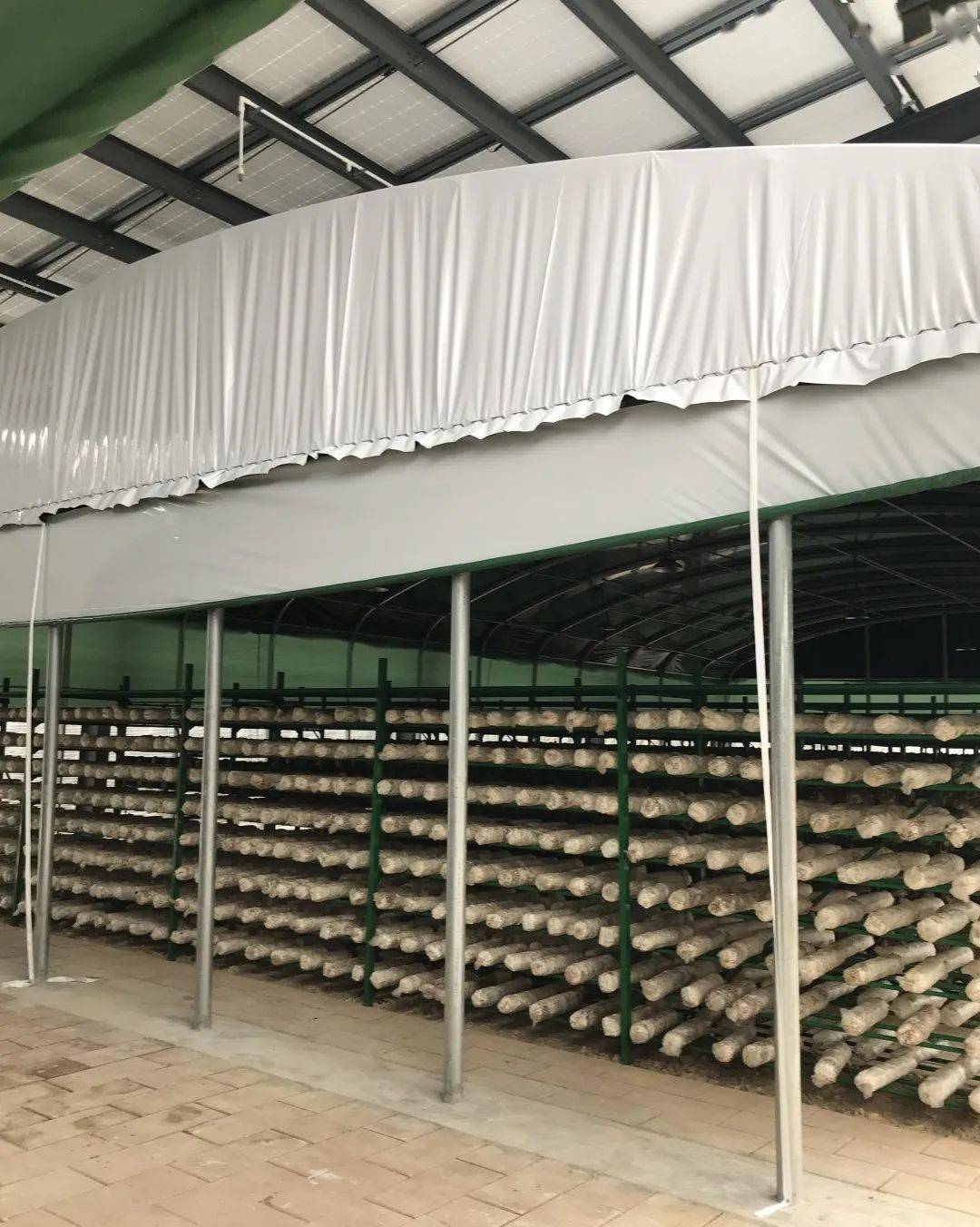 7亿元,打造食用菌标准化生产菇棚425间,其中香菇棚282间,银耳棚143间