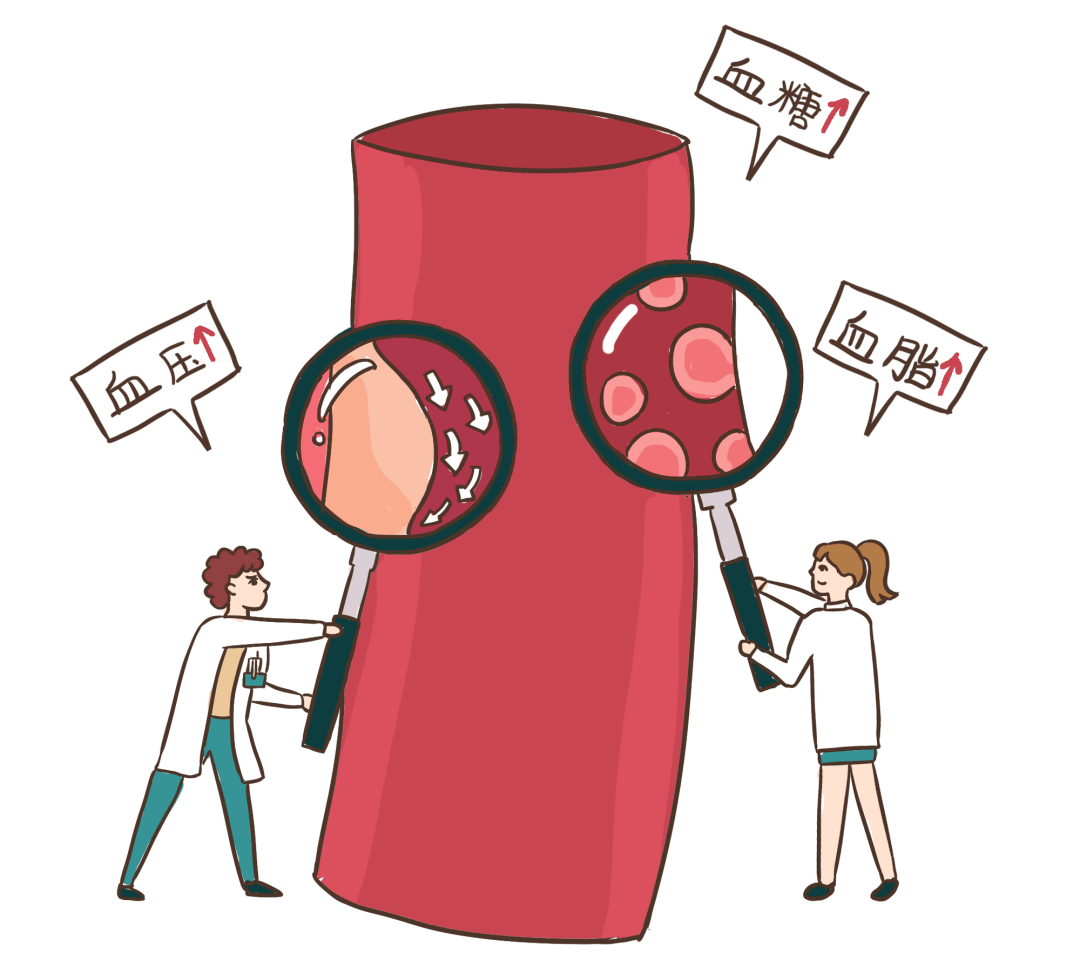 百姓健康 | 好习惯养出"年轻"血管_斑块_医生_干预