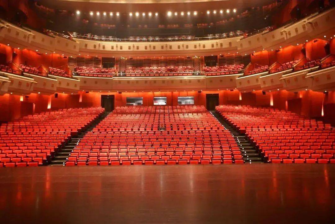 武汉琴台大剧院平面图图片