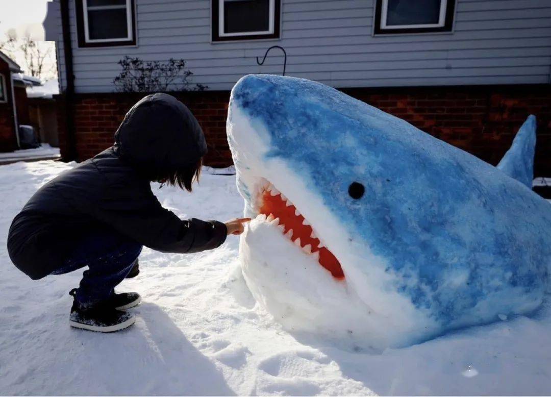 暴风雪过后,美国一位艺术老师在自家前院创造出一只鲨鱼雪雕!