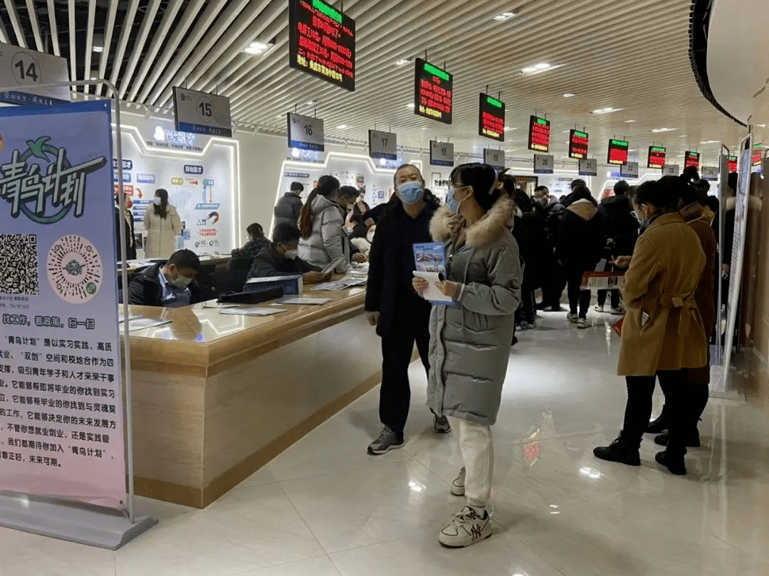 青年开展友好型城市|威海市“青鸟方案·就业办事季”炽热开展