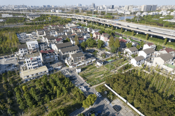 北蔡“城中村”(二):决心_改造_北蔡镇_规划