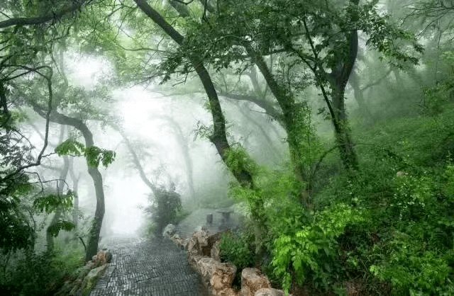 楚王涧,一条被遗忘的曲水流觞,故事、风景、意境都有了,只少一个慢慢走来的你_华阳洞_楚威王_茅山