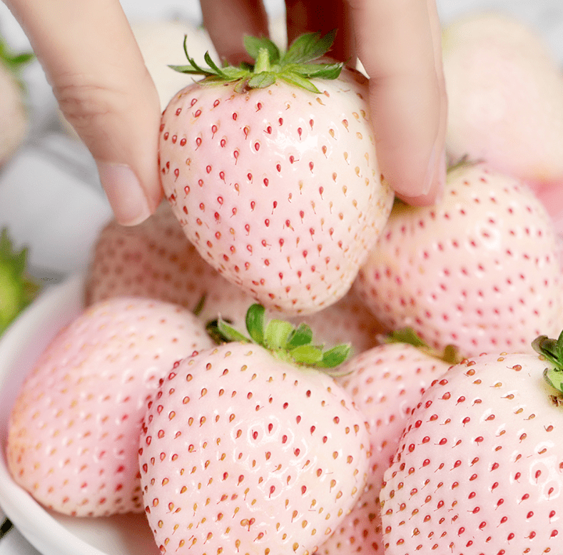 顺丰空运季节限定淡雪草莓粉嫩香甜果肉细嫩水分充盈仅79元享价值158