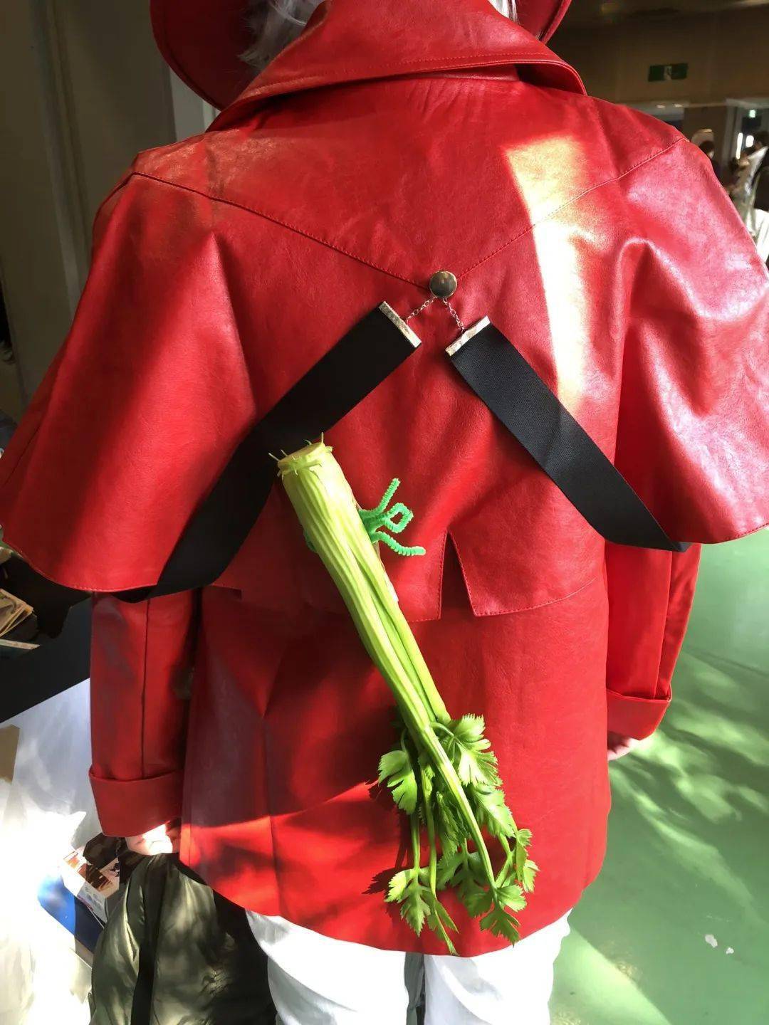 top3:「ほや」海老鼠(大概)翻译是:海鞘类,具体是什么东西