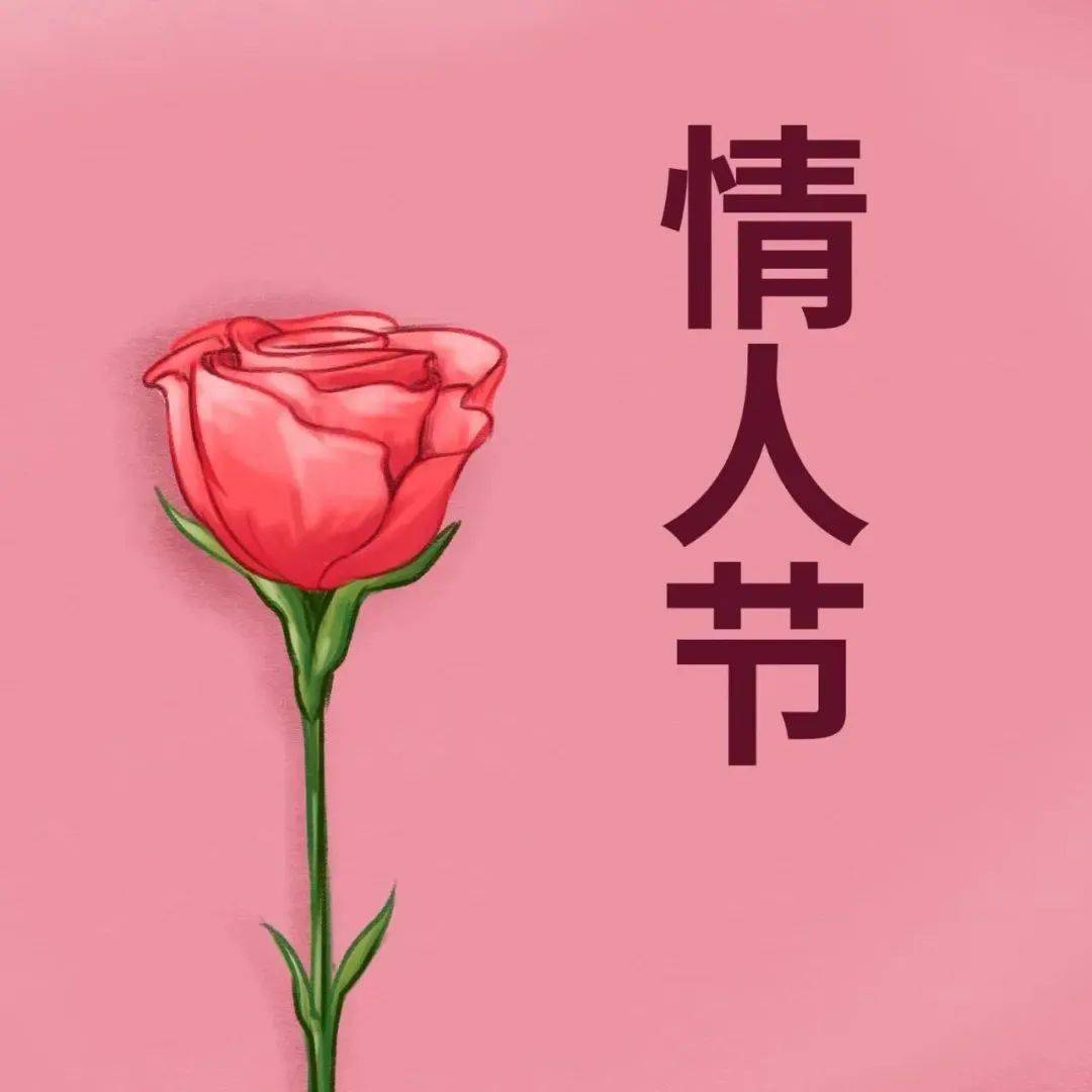 2月14日情人节唯美图片