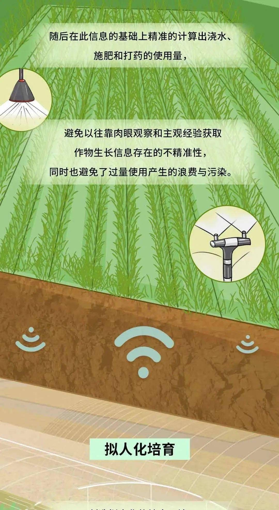【科普汶上•汶上科普天天见】5G科普 | 5G+智慧农业，如何改变我们的生活？插图6