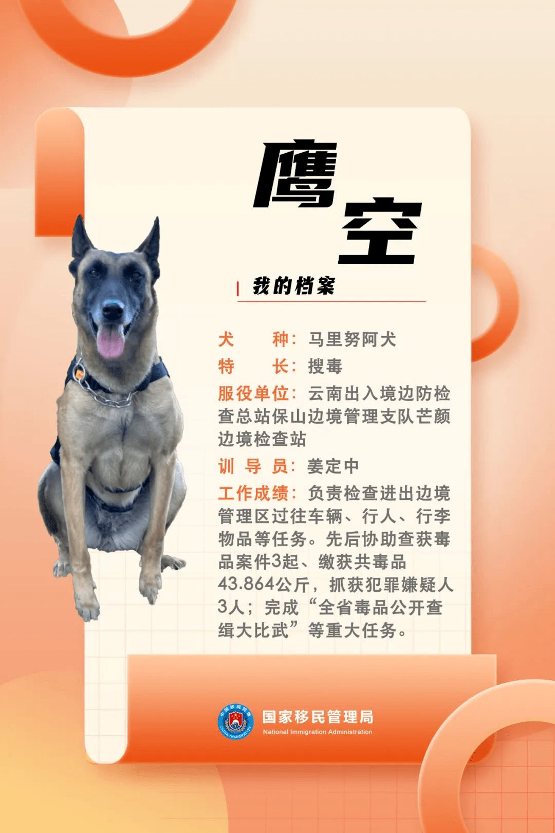 cctv警犬档案图片