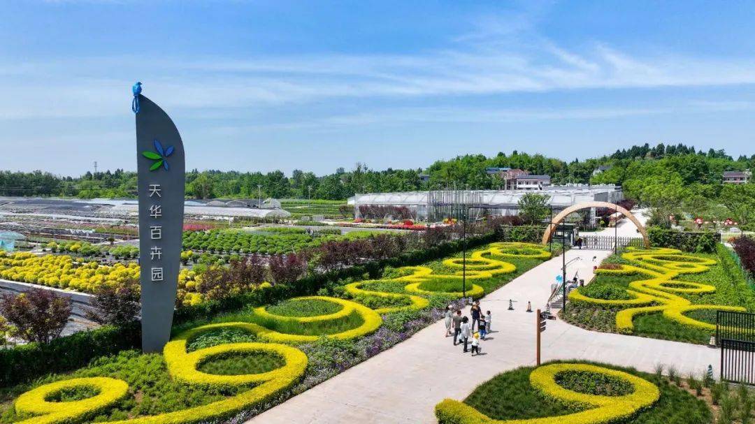 铺就兴业惠民的"花路"_雍溪镇_花卉_产业