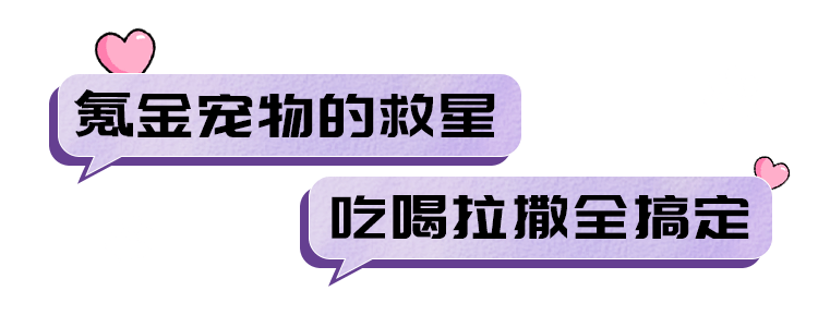 宠界盛会限时登岸北京，“铲屎官”们速来报导！