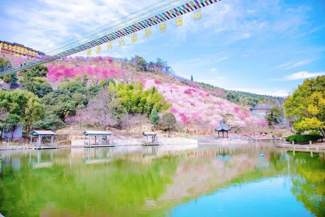 寧波春日賞花季來了,門票特惠!_項目_進行_綠野