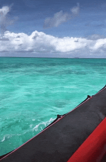 360_549竖版 竖屏gif 动态图 动图