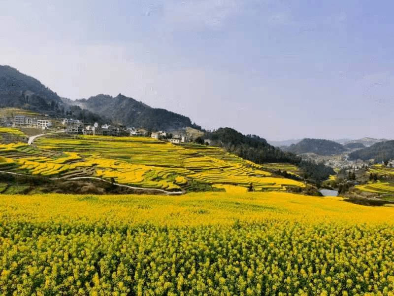 走进文明村镇|仁怀市银水村:新农村建设亮点纷呈_群众_治理_生活