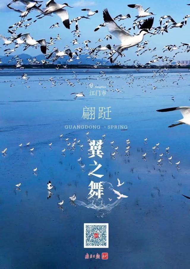 【高量量开展看中国】“绿”镜下的大湾区，“美”一帧都纯天然