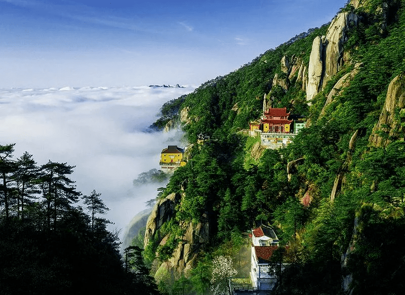 春意满九华,悄然花正开—九华山风景区新推七大春季旅游产品!