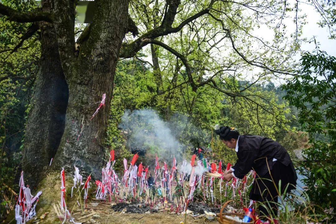 二月二祭桥节 黔东南多地精彩活动邀你来赴约_传统_剑河县_民俗