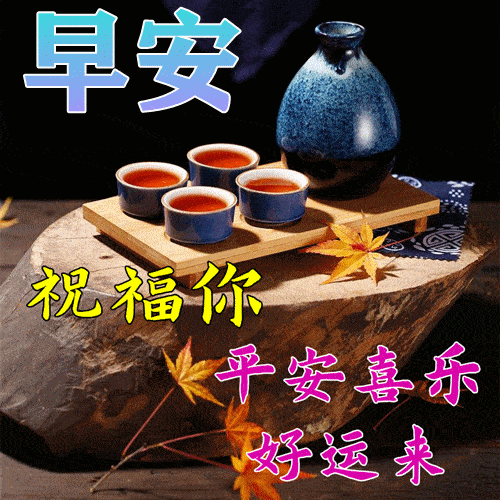 2月19日早上好祝福语图片大全,问候动态表情图片大全!_生活_工作_开心