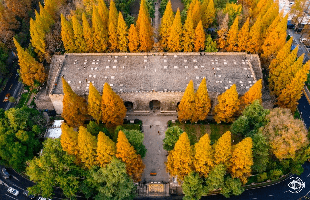 南京承天门遗址图片