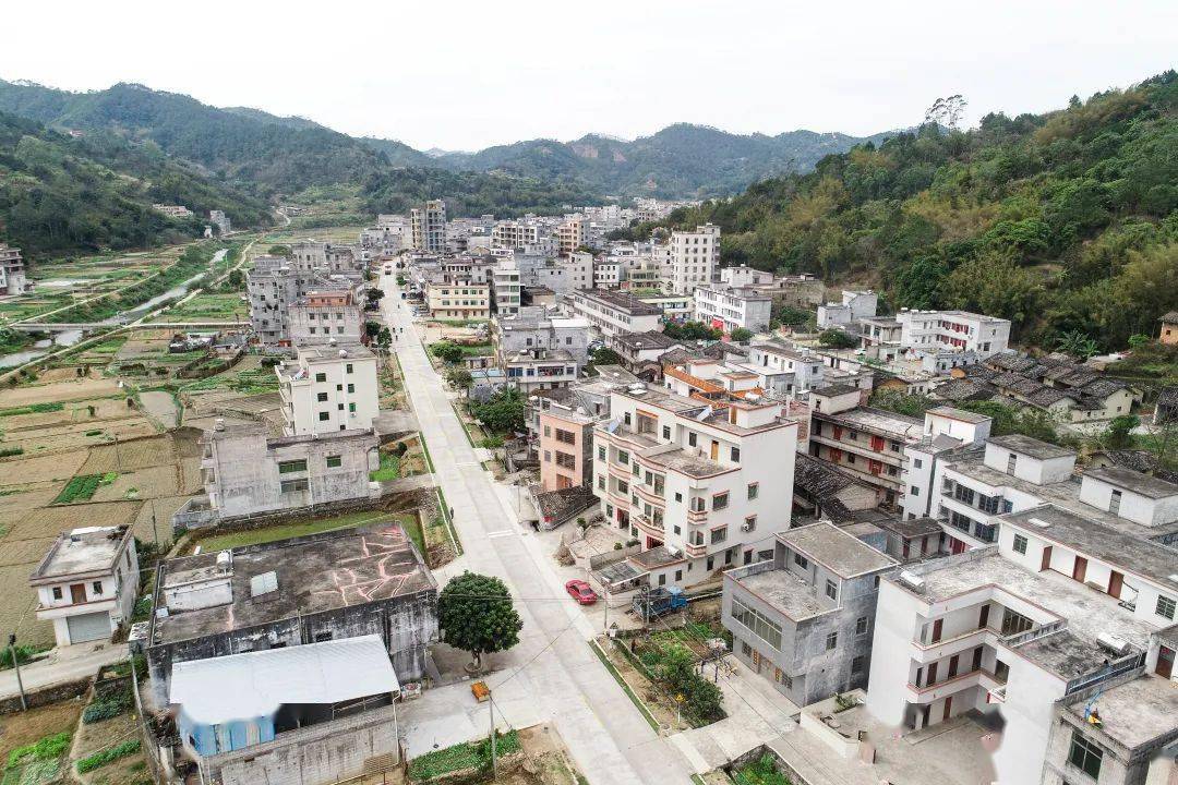 樟木头镇百果洞村图片