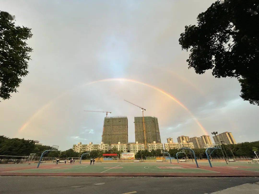 寒假回访母校 | 里水高级中学_互动_向未来_大学