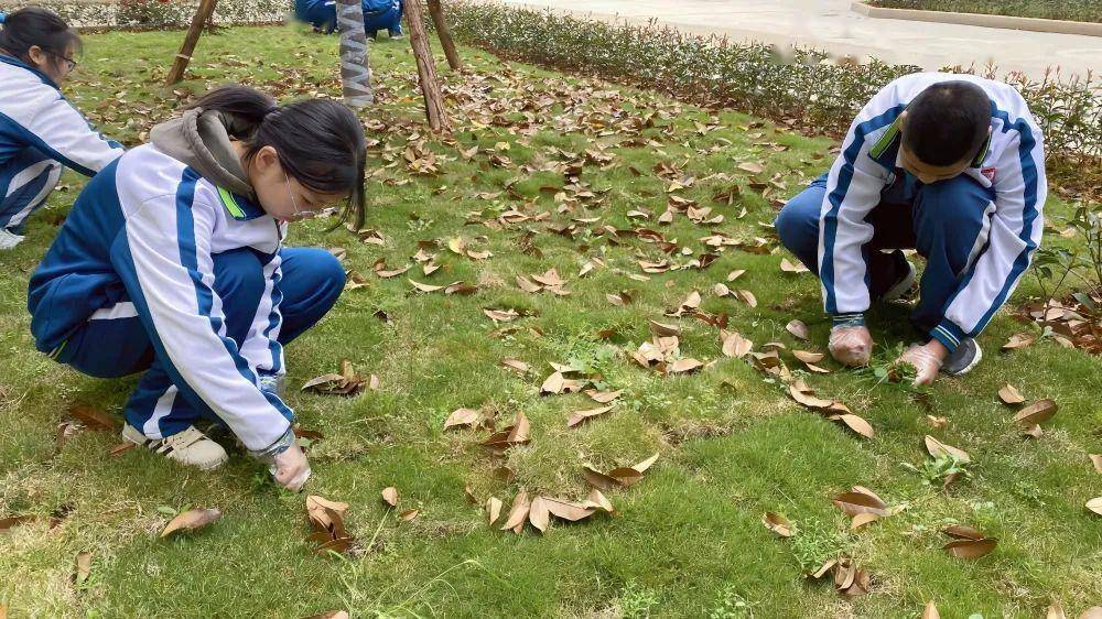 2月15日,福建政和县正和外国语学校全体团员在校区开展了以"美丽校园