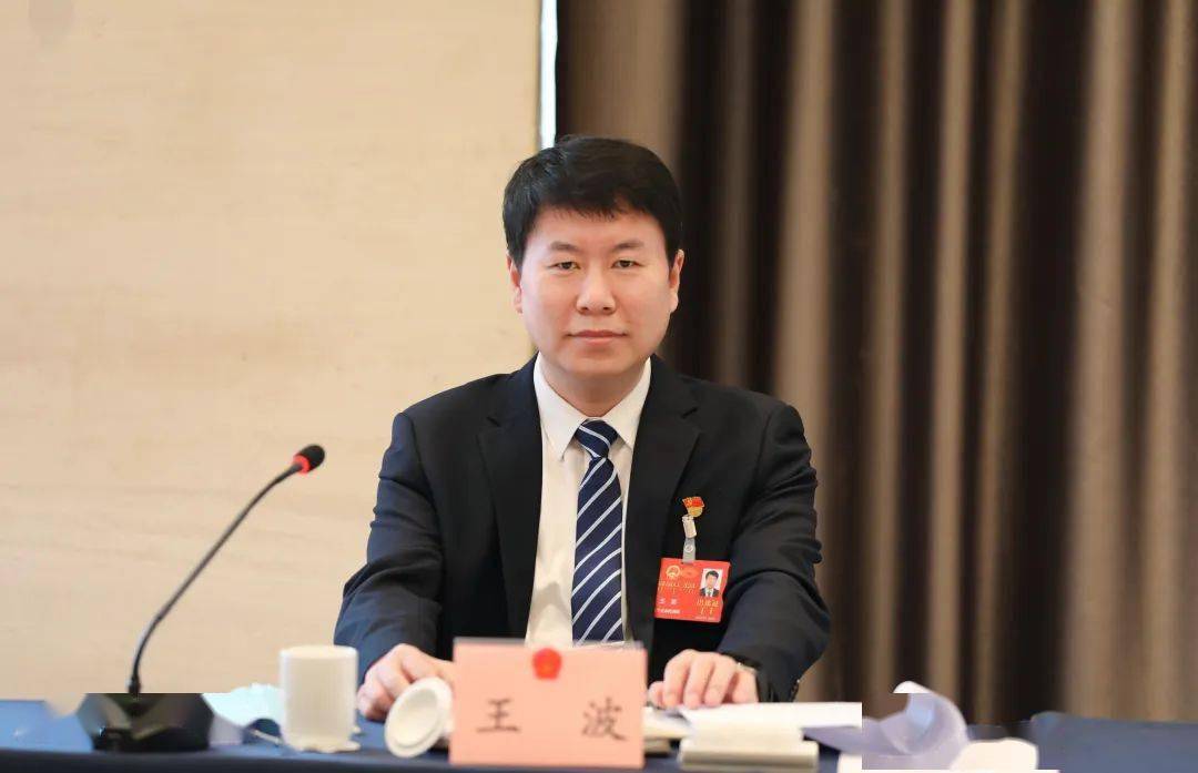 王波在参加扎兰屯市代表团审议时强调:着力建设人民满意政府 为