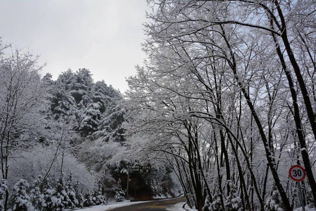 甘肃天水雪景图片