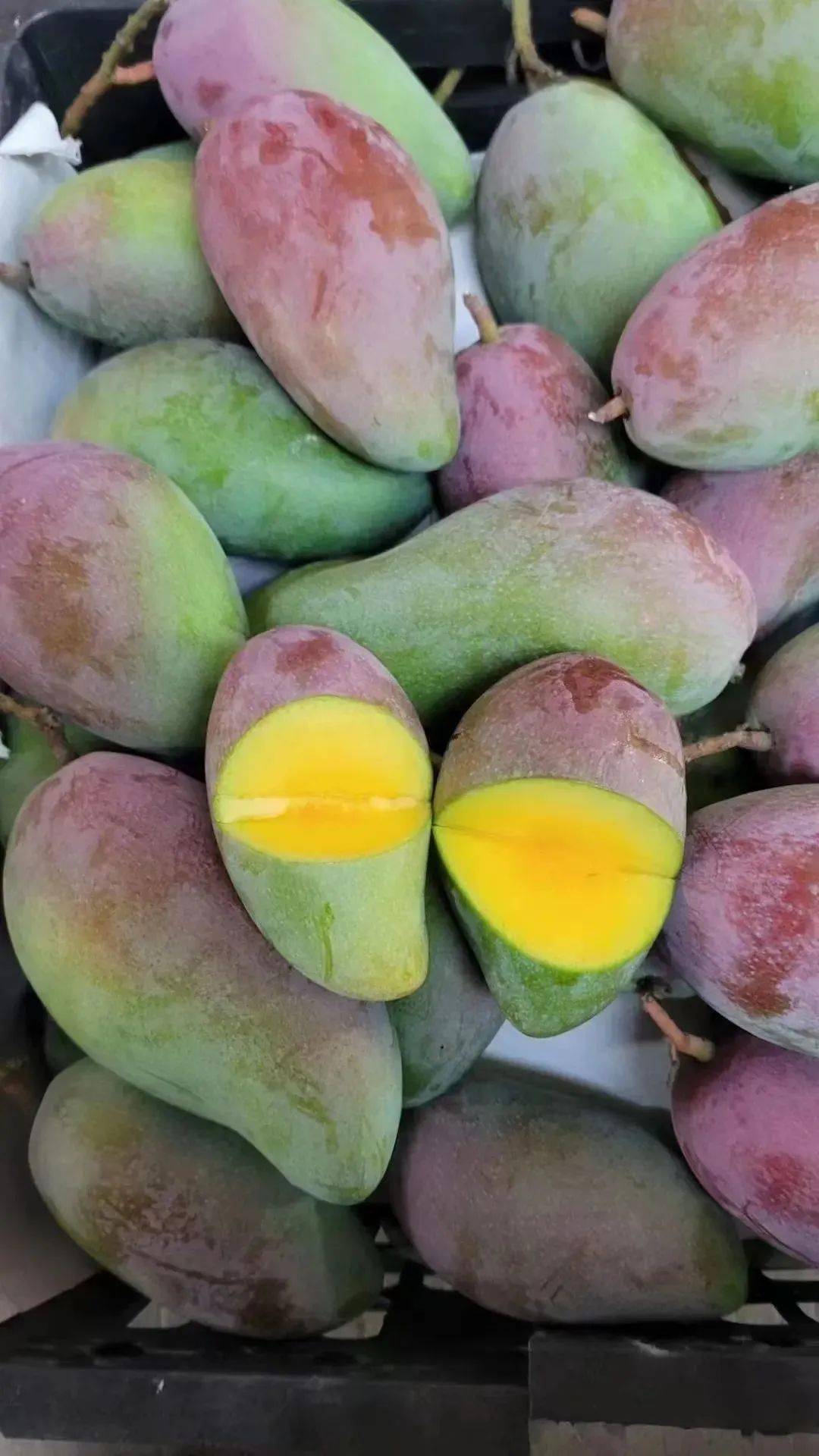 芒果_果肉_口感