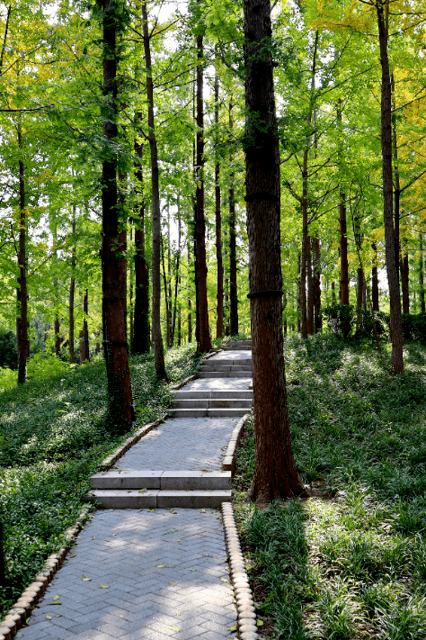 99济南森林公园南门