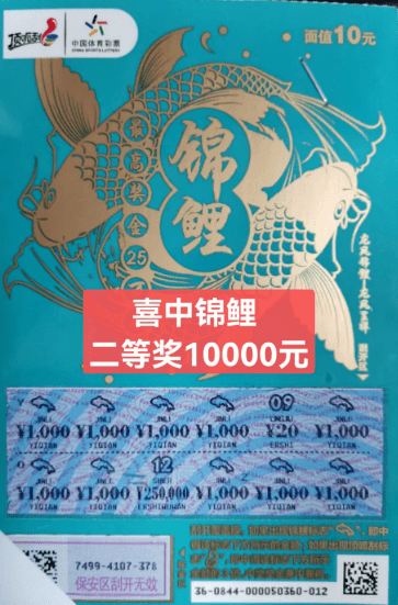 【中奖资讯】体彩顶呱刮10元"锦鲤"又给咸阳购彩者送惊喜_公益金_贡献