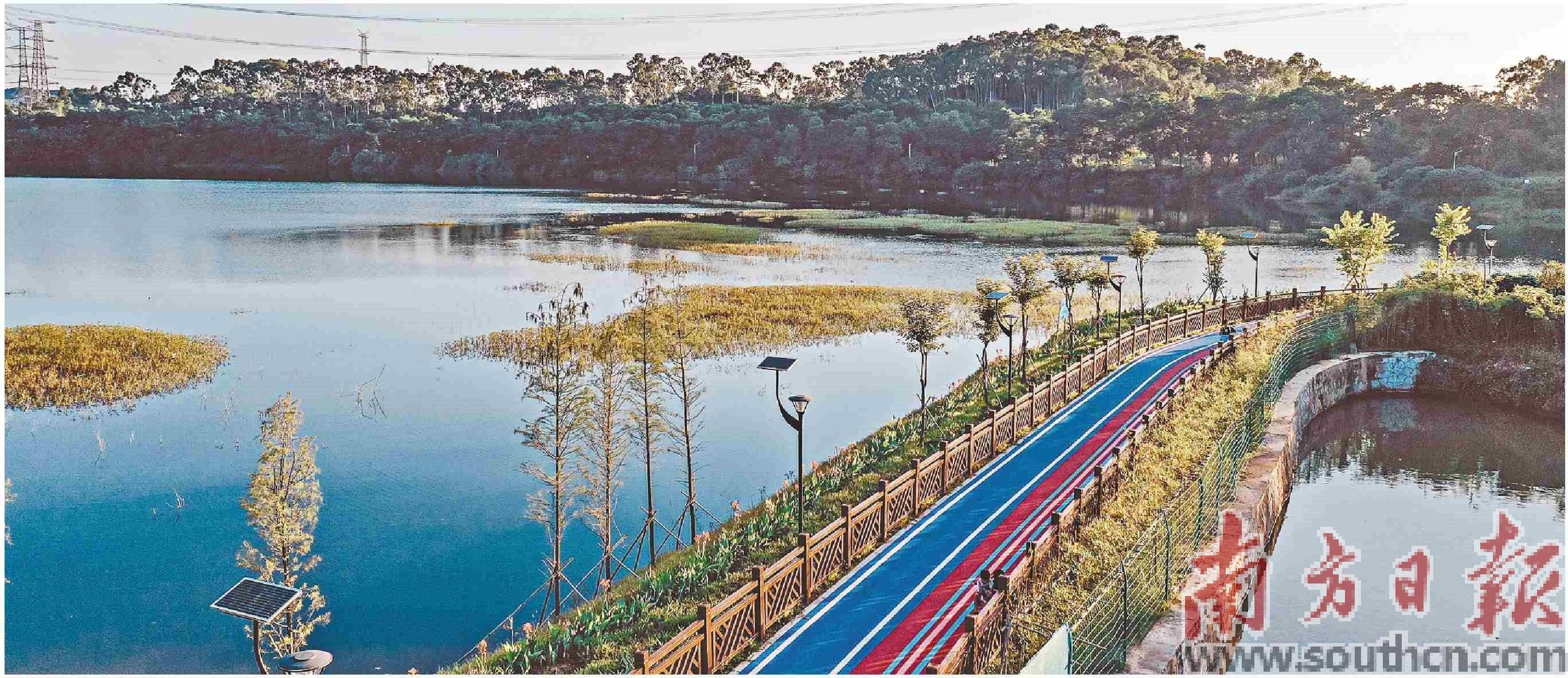 “一河两岸”绿起来美起来_碧道_建设_黄江