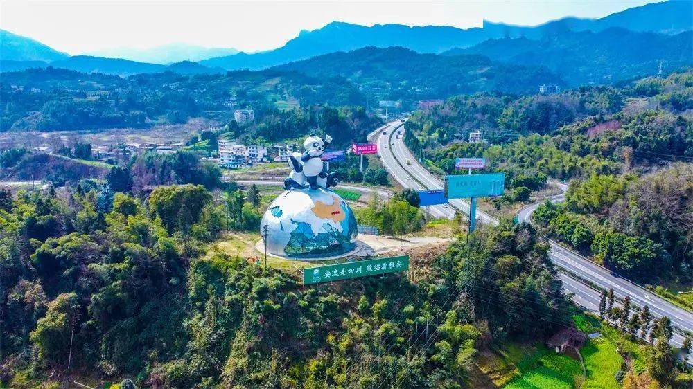 旅日大熊猫"香香"回国啦!"安家"雅安碧峰峡基地_日本_中国_上野