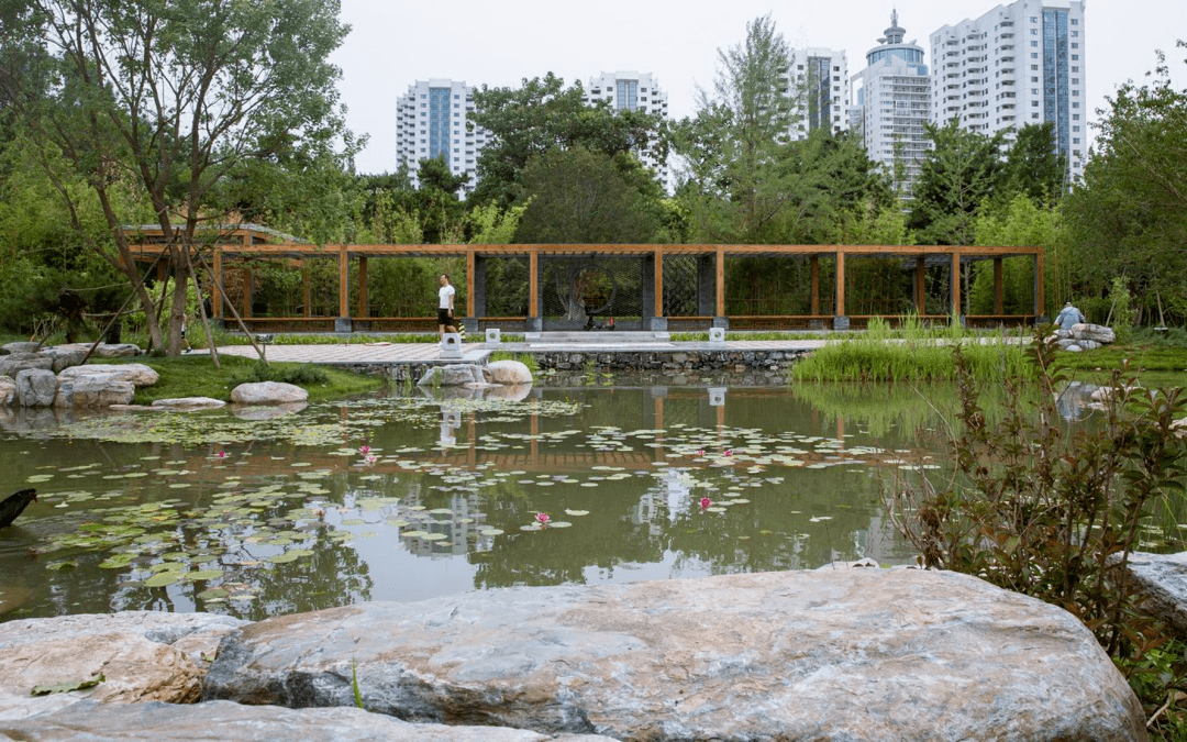 小湿地大生态——北京小微湿地庇护修复示范建立项目理论 | LA理事风度