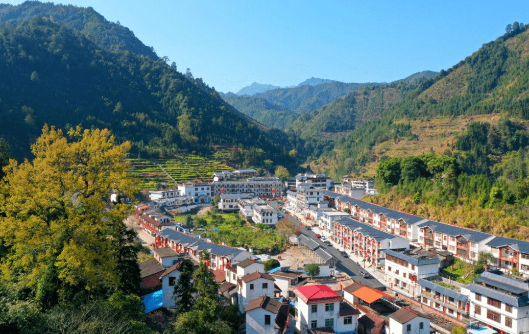 面积_中国_桂头镇